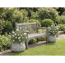 Träbänk i trädgården med blommor i dekorativa krukor.