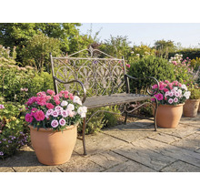 Trädgårdsscen med en dekorativ metallbänk och blomkrukor med färgglada blommor