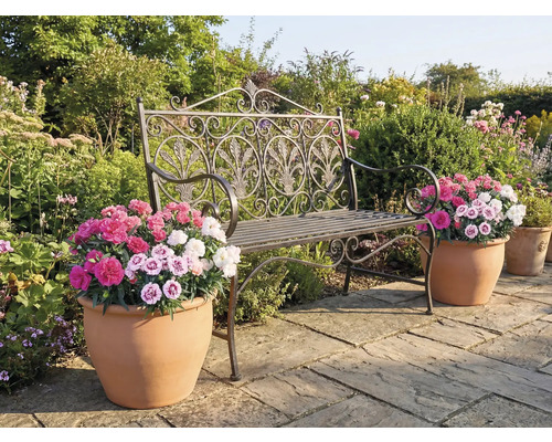 Trädgårdsscen med en dekorativ metallbänk och blomkrukor med färgglada blommor