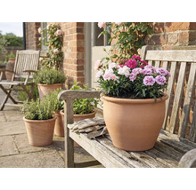 Terrakottakruka med nejlikor på en träbänk i trädgården.