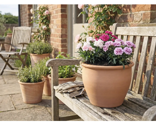 Terrakottakruka med nejlikor på en träbänk i trädgården.