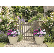 Trädgårdsscen med två planterade krukor och trägrind