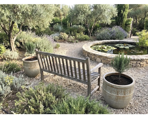 Trädgårdsscen med träbänk, planteringar och damm