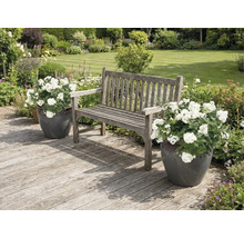 Trädgårdsscen med träbänk och blomkrukor på en träaltan