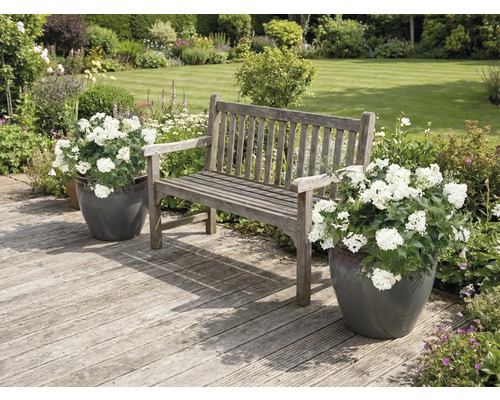 Trädgårdsscen med träbänk och blomkrukor på en träaltan