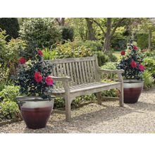 Trädgårdsbänk i trä med två krukväxter i trädgården
