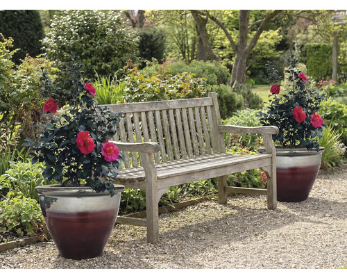 Trädgårdsbänk i trä med två krukväxter i trädgården