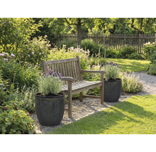 Trädgårdslandskap med träbänk och växter i strukturerade planteringskärl