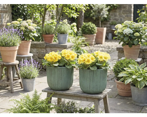 Dekorativ trädgårdsscen med gula blommor i planteringskärl
