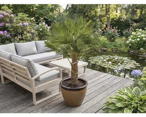 Trädgårdsscen med möbler och en palm i kruka på en träterrass bredvid en damm