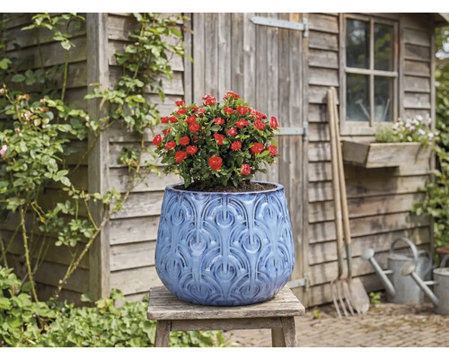 Dekorativ blomkruka med röd ros på en träpall framför ett trädgårdsskjul.