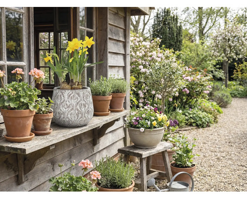 Dekorativ trädgård med krukväxter och blommor på en träveranda