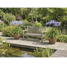 Trädgårdsscen med en träbänk, agapanthus i krukor och en damm