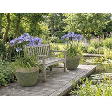 Trädgårdsscen med bänk, damm och krukväxter