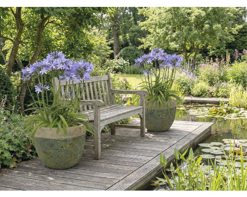 Trädgårdsscen med bänk, damm och krukväxter