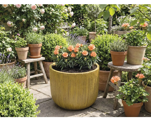 Trädgård med blommor i krukor och planteringslådor.