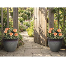 Dekorativ trädgårdsgång med två planteringskärl och en trädgårdsport