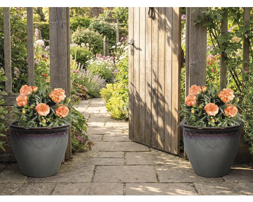 Dekorativ trädgårdsgång med två planteringskärl och en trädgårdsport