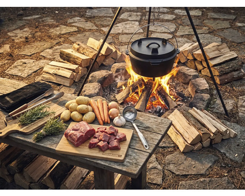 Scen med holländsk ugn över öppen eld, omgiven av ved, med ingredienser som kött, potatis och grönsaker på ett träbord