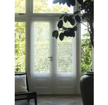 Interiör med dörr med glasstruktur, fåtölj och krukväxt