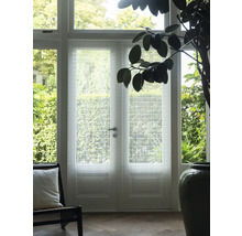 Dubbeldörr med dekorativ film och dagsljusinsläpp i ett vardagsrum.