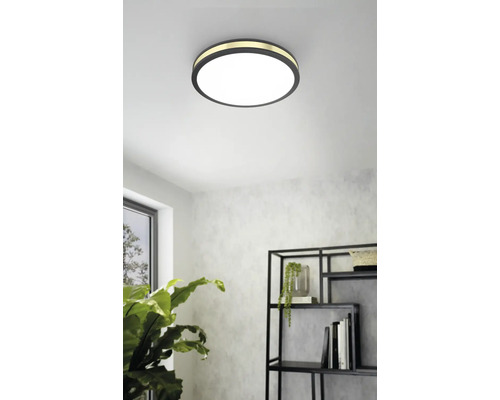 Rund taklampa i vardagsrum med hylla och krukväxt