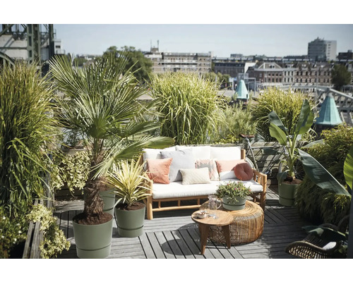 Takterrass med träsoffa, dynor, kuddar, runda sidobord och olika krukväxter som palmer och prydnadsgräs.