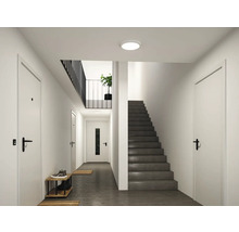 Modern, ljus hall med rund taklampa, grå trappa, vita dörrar och svart räcke.