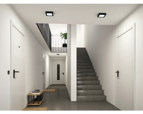 Ljus, modern hall med vita dörrar, svarta dörrhandtag, en grå betongtrappa och fyrkantiga svarta taklampor.