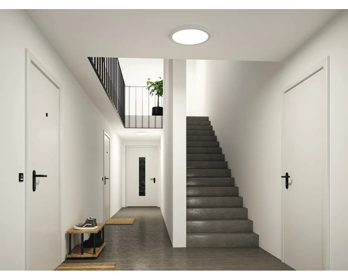 Ljus, organiserad hall med vita dörrar, mörkgrå trappa, rund taklampa och minimalistiskt skoställ.