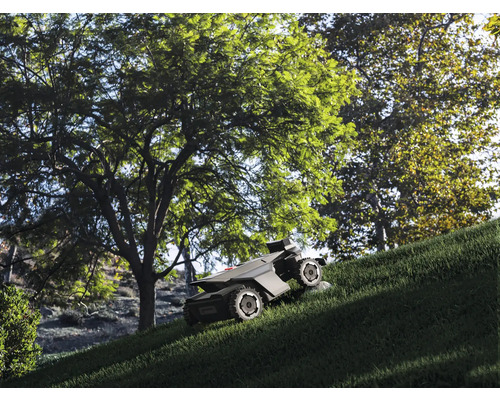 Robotgräsklippare med fyrhjulsdrift klipper en brant grässlänt under stora gröna träd i en trädgård.