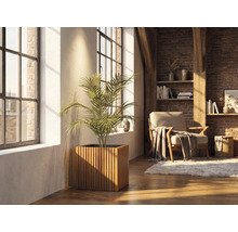 Kvadratisk blomlåda i träribbor med en krukväxt i ett ljust vardagsrum med tegelvägg och stora fönster.