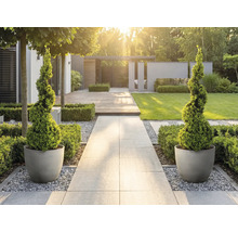 Modern ljus trädgård med stengång, spiralformade formklippta växter i runda krukor, trädäck och gräsmatta.