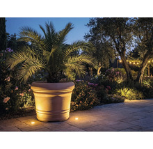 Stor blomkruka i terrakotta med palm i en upplyst medelhavsträdgård med stenlagd gång och växter på natten.