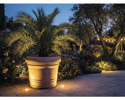 Stor blomkruka i terrakotta med palm i en upplyst medelhavsträdgård med stenlagd gång och växter på natten.