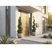 Modern husentré med en ljus ytterdörr i trä, två spiralformade buxbomar i krukor, en brevlåda och grå markplattor.