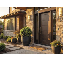 Modern husentré med mörk trädörr, naturstensfasad och stora blomkrukor med buxbomsklot.