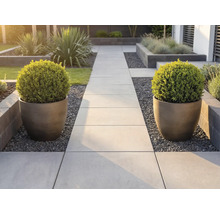 Modern trädgårdsgång av ljusa stenplattor, flankerad av två stora, räfflade planteringskärl med klotformade buxbomar.