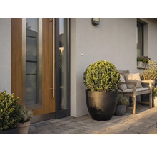 Modern entré med trädörr, en stor svart planteringskärl med klotformad buske och en träbänk på en stenlagd uteplats.