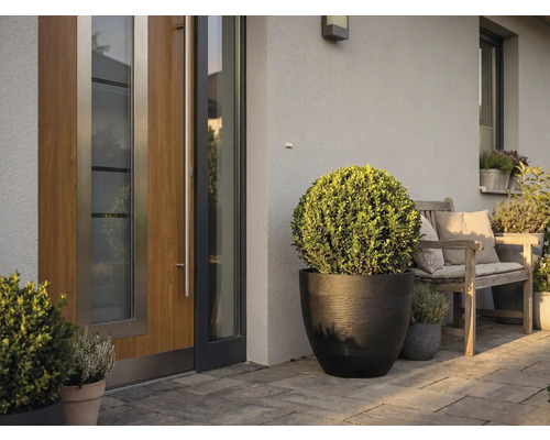 Modern entré med trädörr, en stor svart planteringskärl med klotformad buske och en träbänk på en stenlagd uteplats.