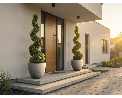 Modern husentré med trädörr, två spiralformade buxbomar i grå krukor på betongsteg och stenlagd gång.