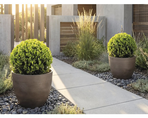 Modern trädgård med runda krukor och buxbomsklot vid en betonggång med flodstenar och prydnadsgräs i ljus miljö.