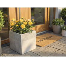 Kvadratisk planteringskärl i betonglook med gula rosor vid en husingång bredvid en Welcome-dörrmatta på stenplattor.