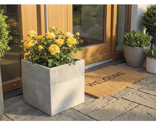 Kvadratisk planteringskärl i betonglook med gula rosor vid en husingång bredvid en Welcome-dörrmatta på stenplattor.