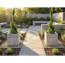 Modern, ljus trädgård med stengång, två spiralformade buxbomar i fyrkantiga krukor, betongbänkar och grus.