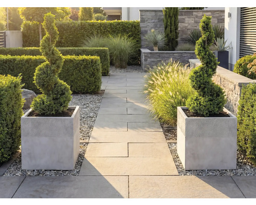 Två spiralformade formklippta buskar i grå kvadratiska planteringskärl vid en strukturerad trädgårdsgång av stenplattor med häckar.