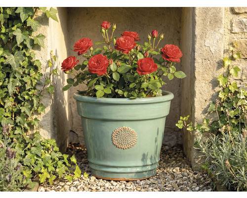 Ljusgrön keramisk blomkruka med blomemblem, planterad med röda rosor, framför en stenmur med murgröna.
