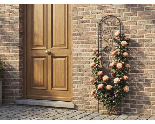 Spaljé av metall med fågel- och bladmotiv, bevuxen med klätterrosor mot en tegelvägg bredvid en trädörr.