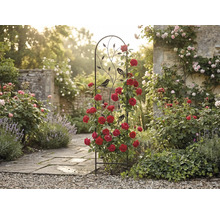 Svart spaljé av metall med fågel- och bladmotiv, med röda klätterrosor i en solig trädgård med stenstig.