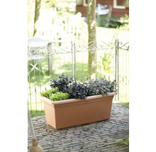 Rektangulär blomlåda i plast med terrakotta-look på en uteplats, planterad med örter och sallad framför ett dekorativt metallstaket.